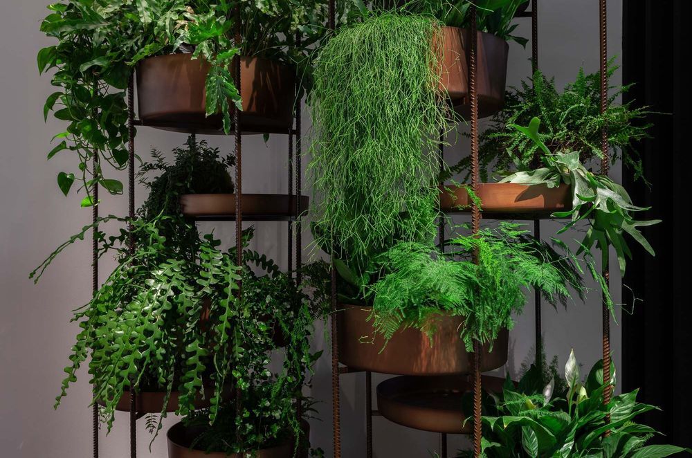 Don't build your garden out — build it up.