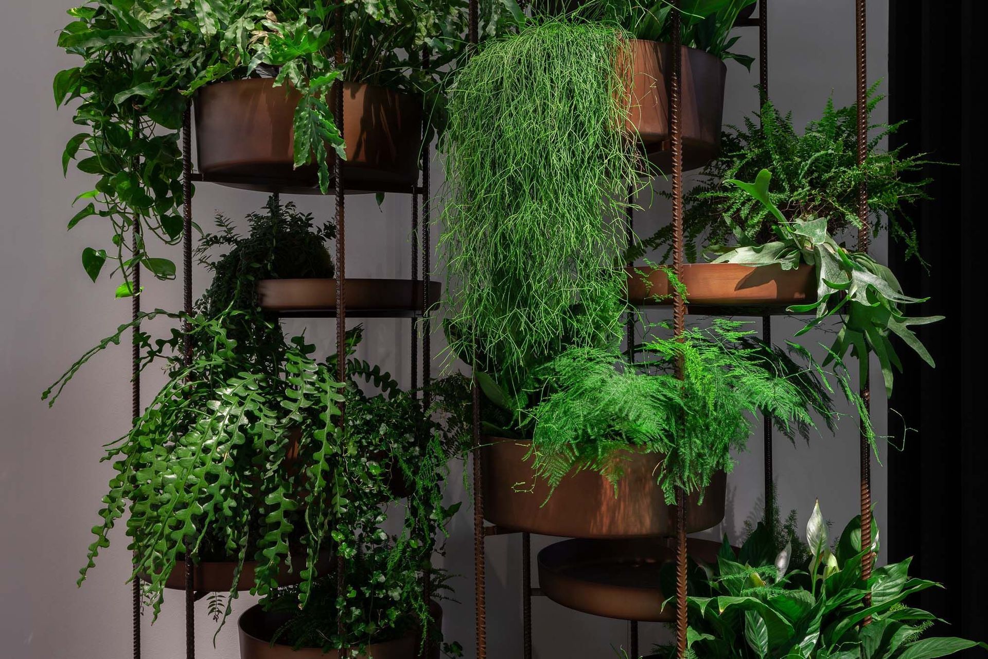 Don't build your garden out — build it up.
