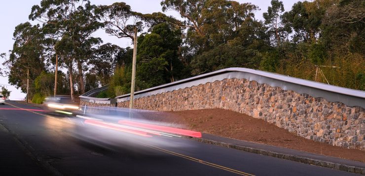 A stone legacy: extending Auckland Zoo’s boundary wall