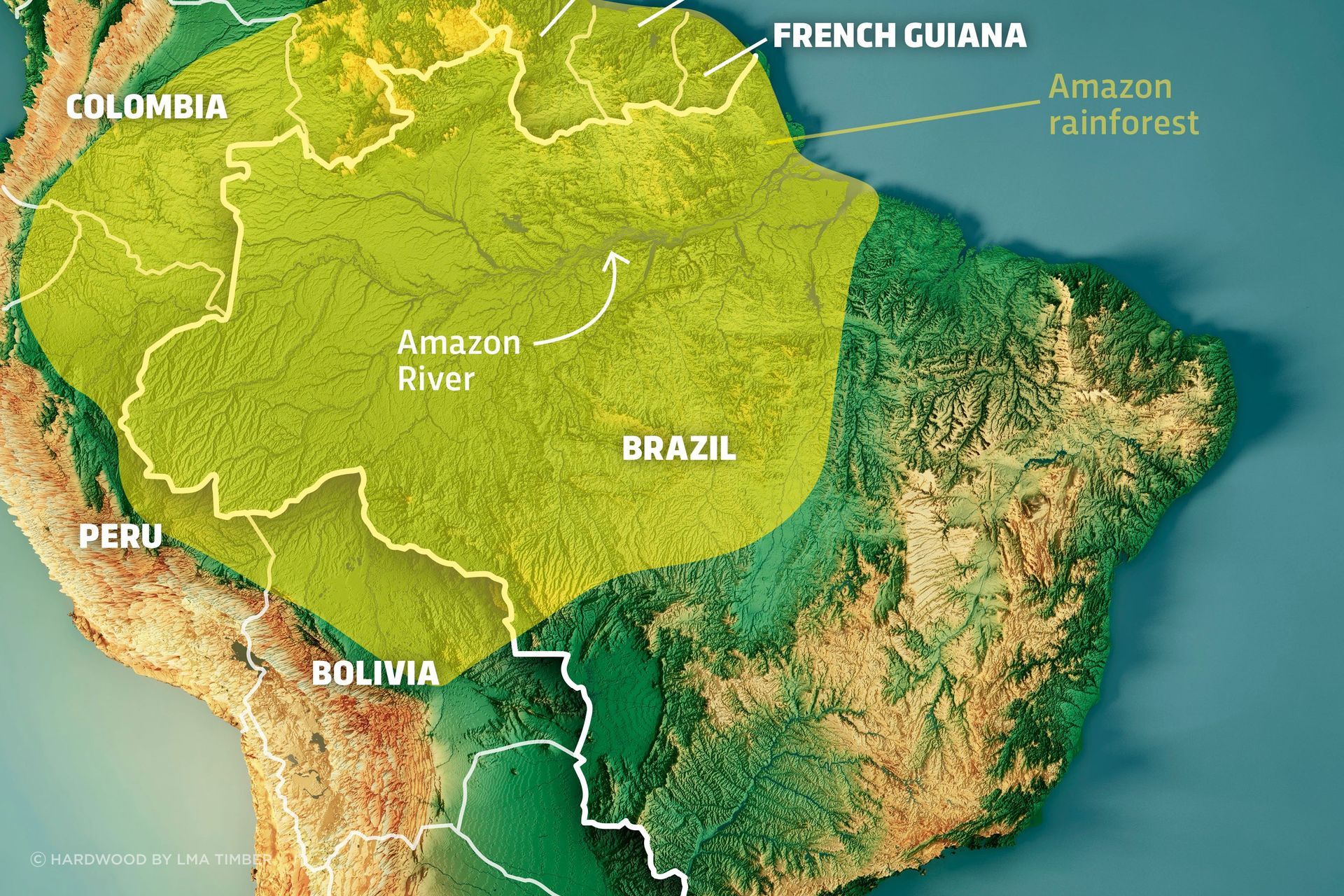 Map-of-the-Amazon-9858996.jpeg