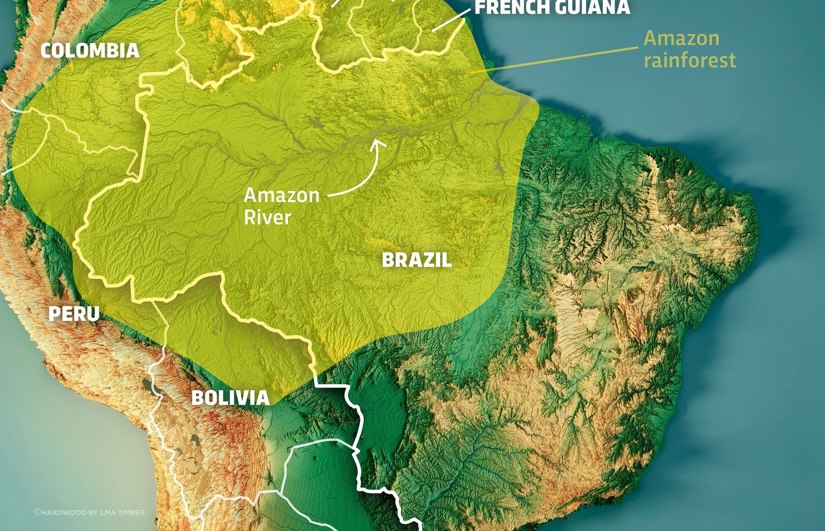 Map-of-the-Amazon-9858996.jpeg