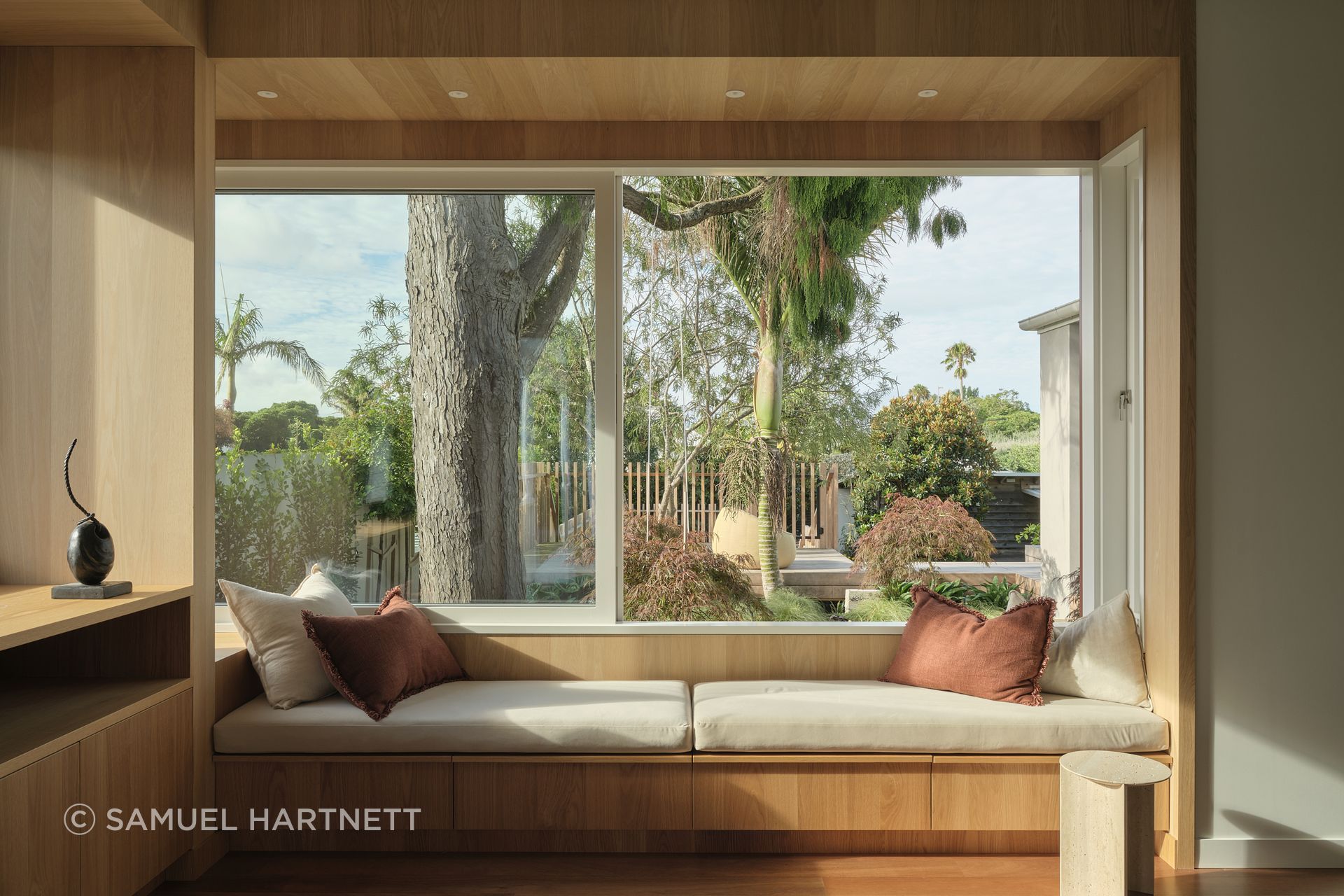 Under Rimu by Pac Studio