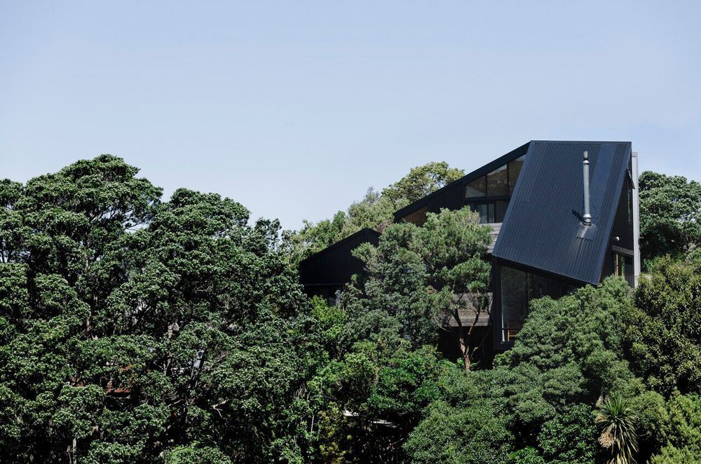 A home set amongst native trees on a steep site with challenging access, Stealth Bomber was designed by Patchwork Architecture and built by Dorset Construction.