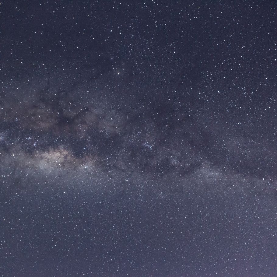 How Matariki guides landscape design