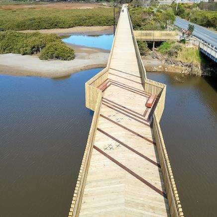 Building with stronger, stiffer pine in civil projects