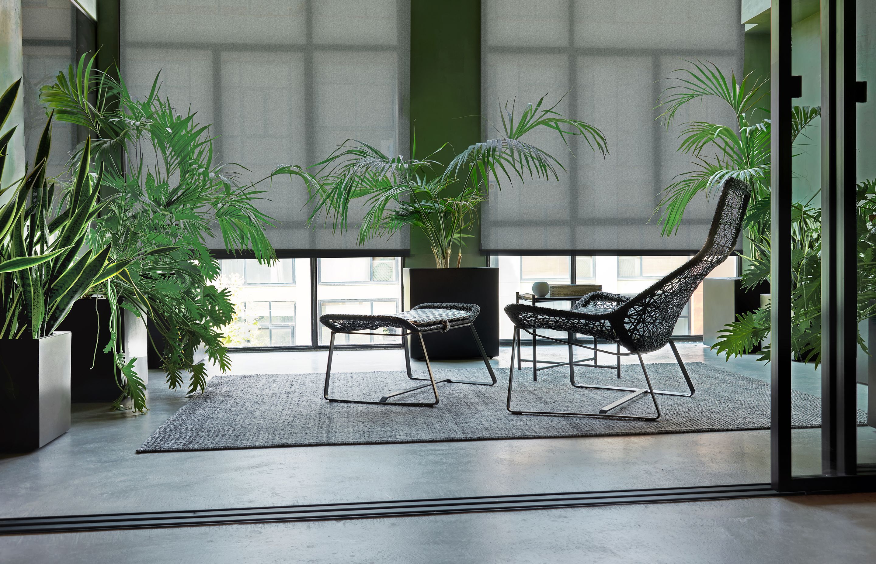 Roller blinds by JD Blinds.
