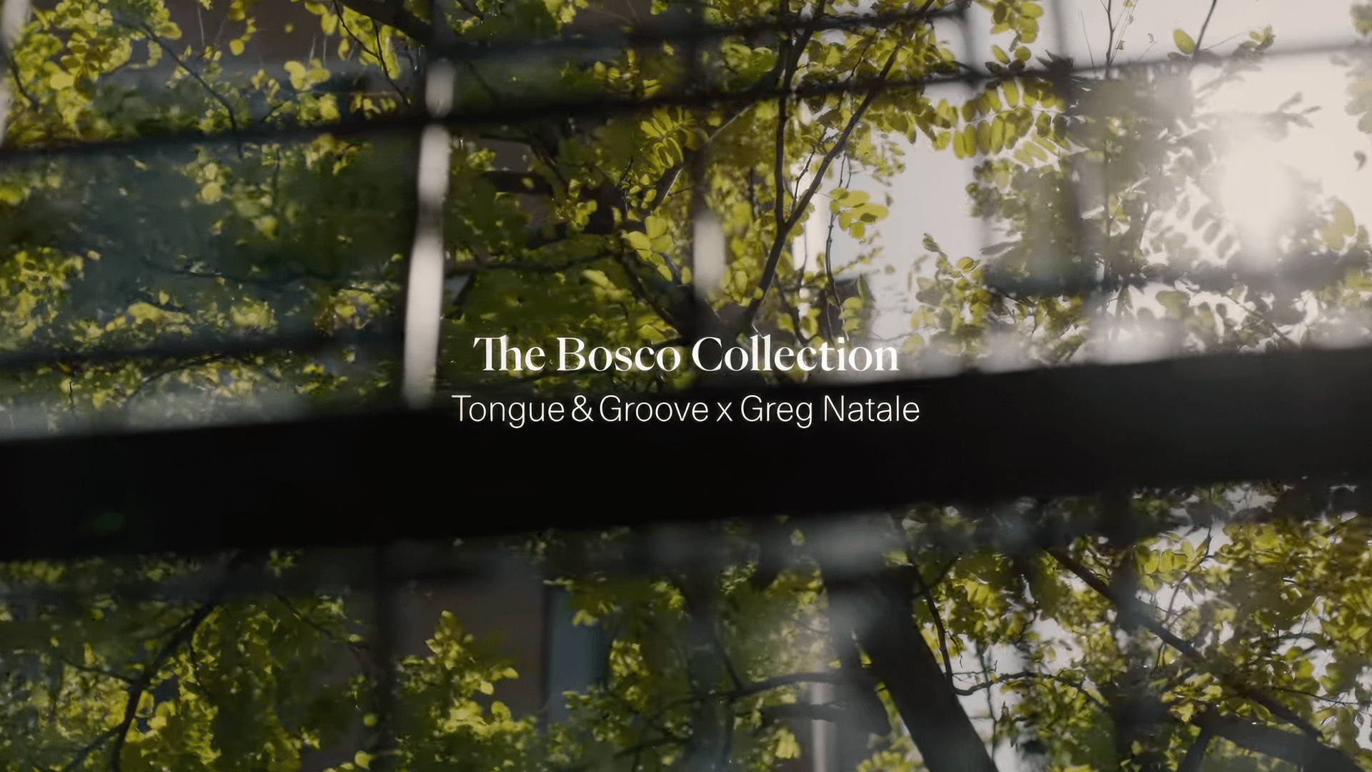 Co.Lab – The Bosco Collection by Tongue & Groove x Greg Natale video