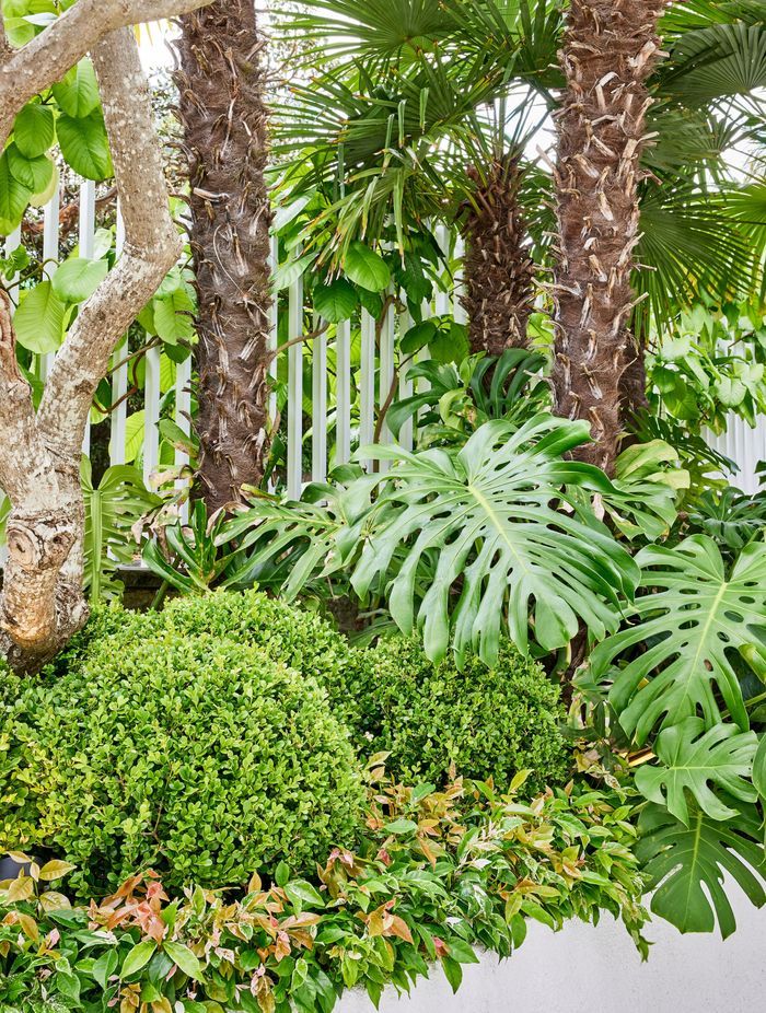 Inside, textured spheres of Buxus mingle with other low- and mid-level shrubs in curved planter beds.