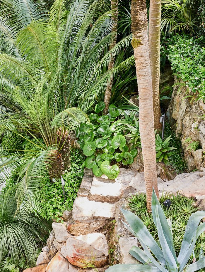 Pockets of interesting plantings can be found in the rockery surrounding the home.