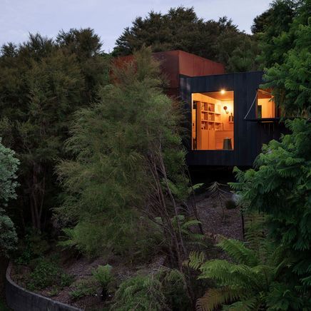 An immersive, remote cabin hidden in the Abel Tasman National Park