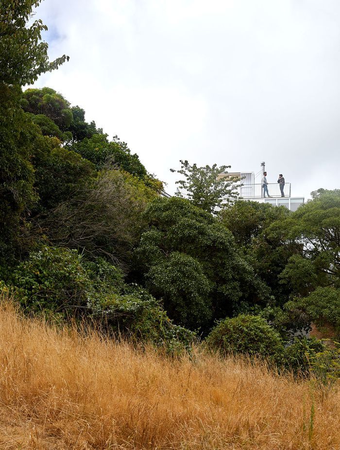 The rooftop peeks out over the surrounding trees.