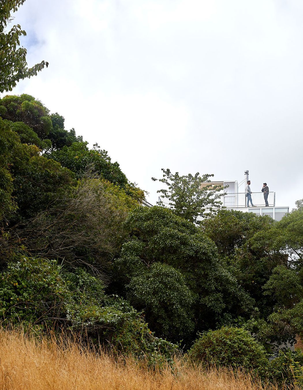 “We didn't actually know whether we were going to get great views or not,” says Adam. “We climbed up and tried to see but it was so thick with bush. The quality of the views that we got far exceeded what we were expecting.”