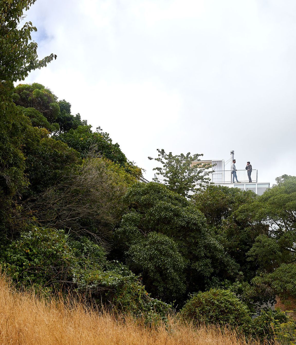“We didn't actually know whether we were going to get great views or not,” says Adam. “We climbed up and tried to see but it was so thick with bush. The quality of the views that we got far exceeded what we were expecting.”