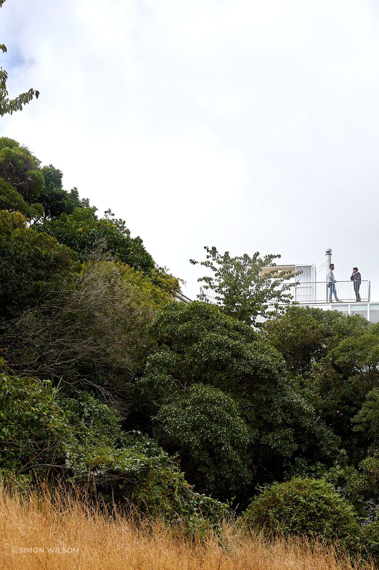 “We didn't actually know whether we were going to get great views or not,” says Adam. “We climbed up and tried to see but it was so thick with bush. The quality of the views that we got far exceeded what we were expecting.”