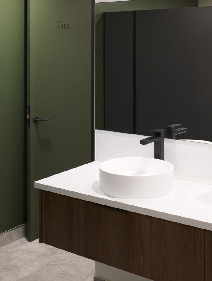 Earthy brown tones meet the soft greens of the ngahere canopy.