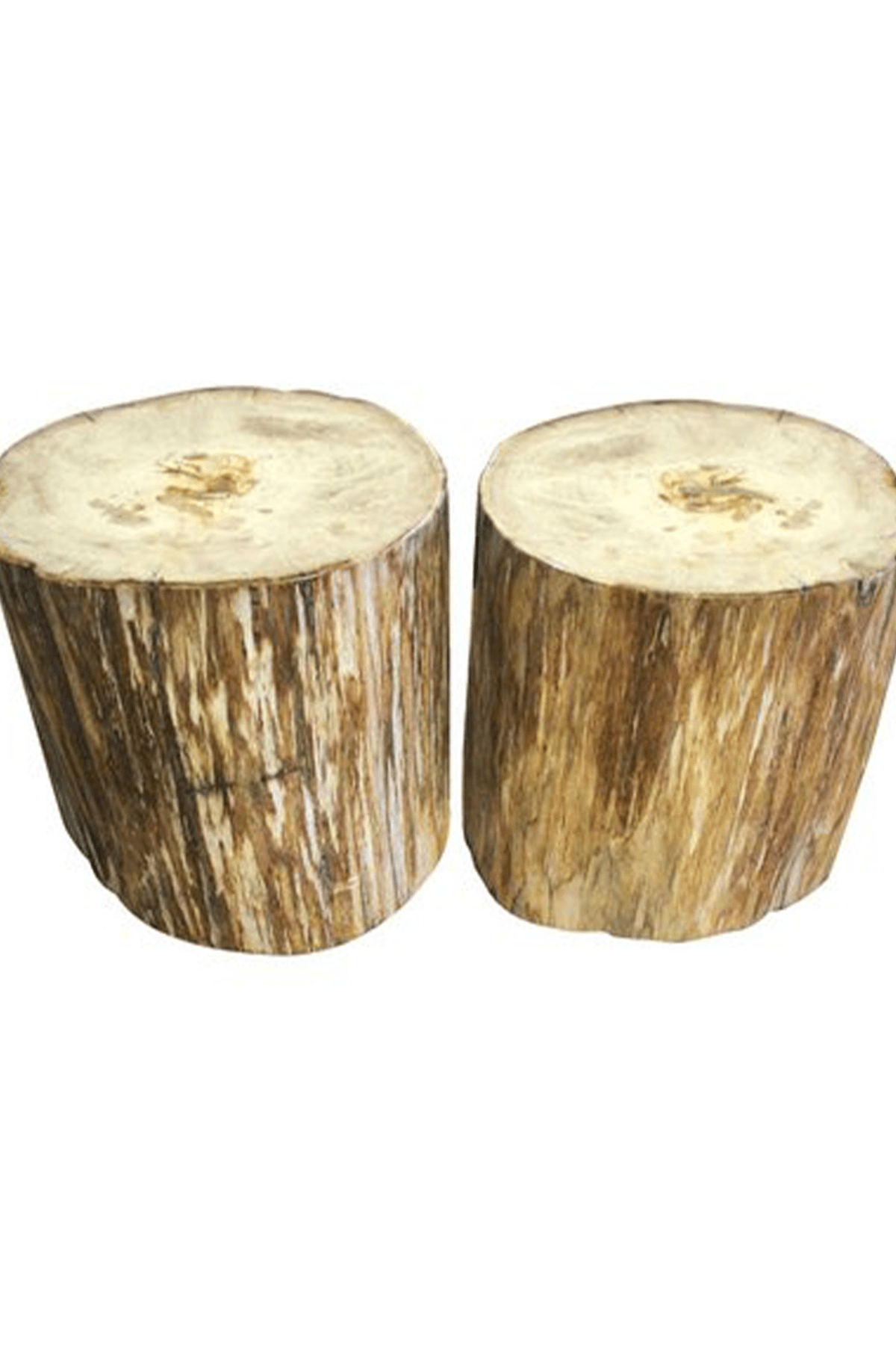 Petrified raw wood pedestals by Batu Interiors