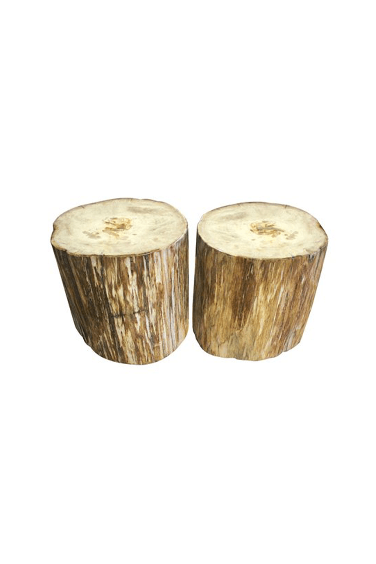 Petrified raw wood pedestals by Batu Interiors