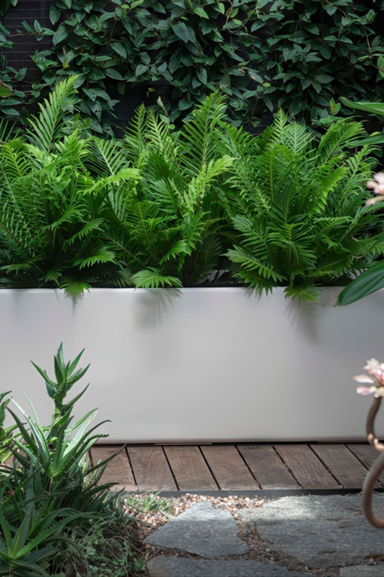 32de6db0f009-Planter-a975f1935x536cropcenter-gigapixel-low-resolution-v2-21x-v3.jpeg
