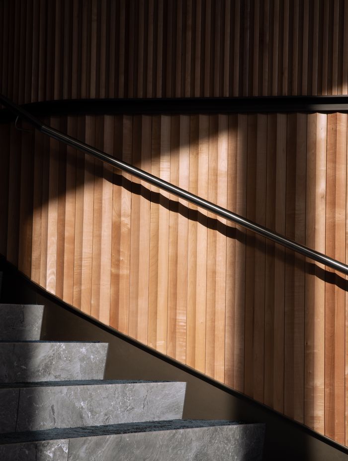 Light and shadows accentuate the beak profile of the timber battens.