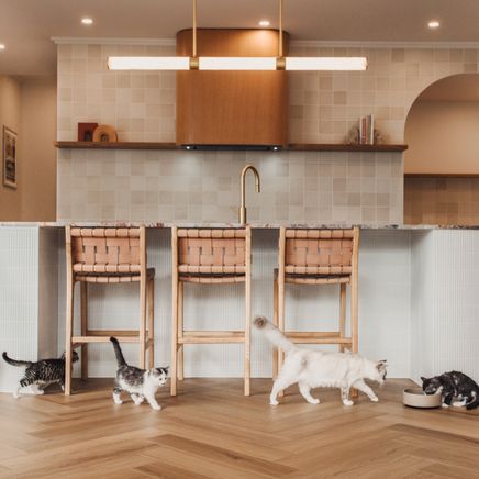 A delightfully clever timber-look acoustic floor that effortlessly handles the chaos of family life