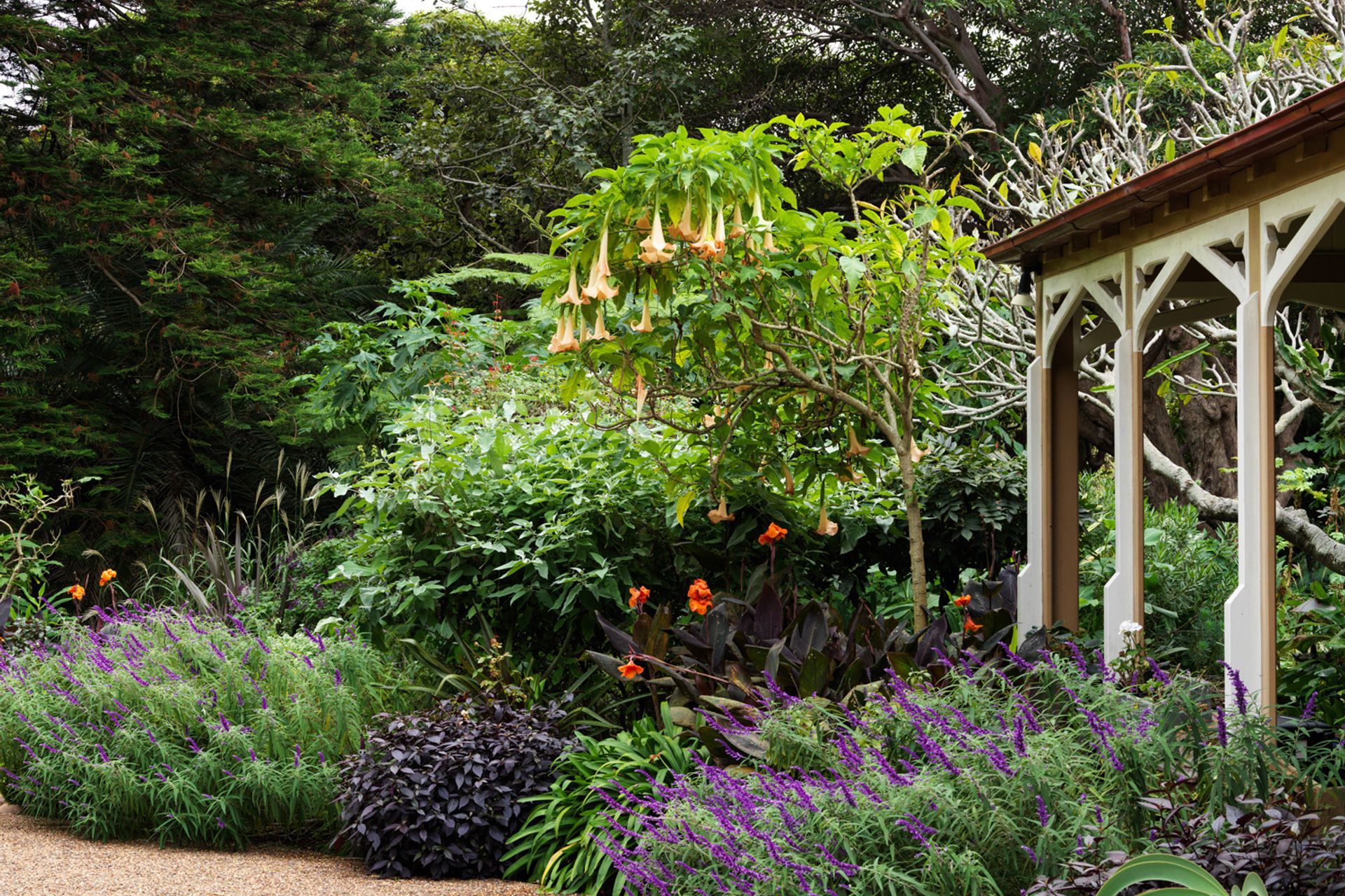 Bronte House: A five year journey