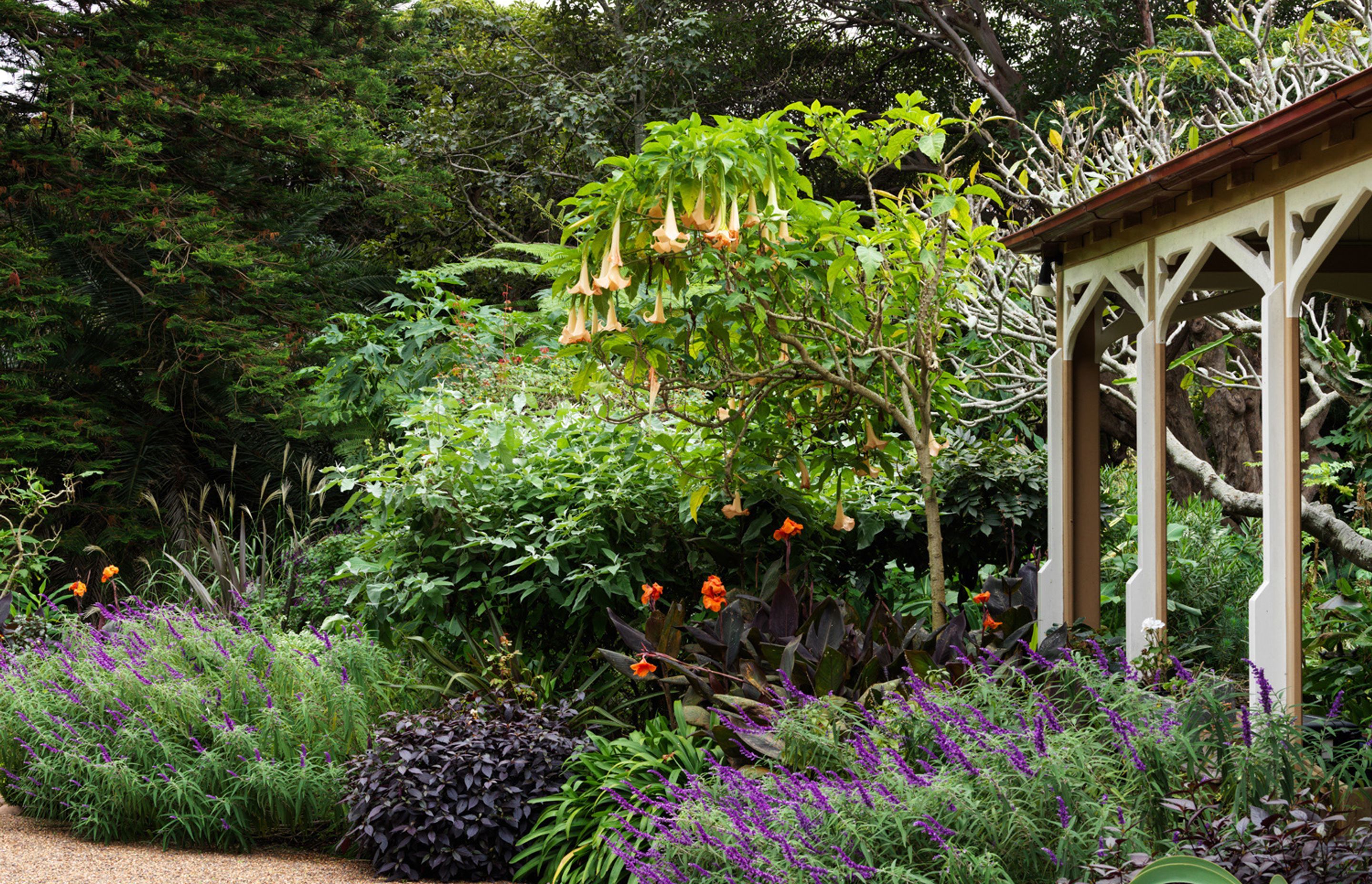 Bronte House: A five year journey