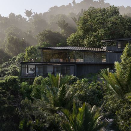 A Waiheke home that anchors itself around an ancient pōhutukawa