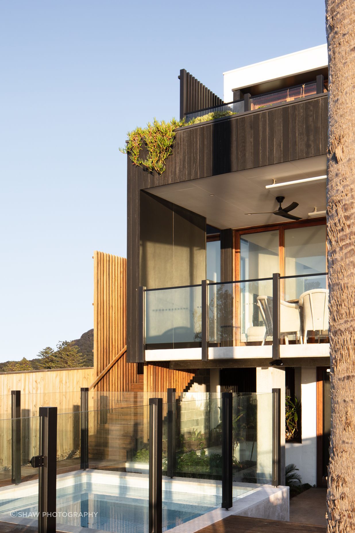 The Coledale Ave House
