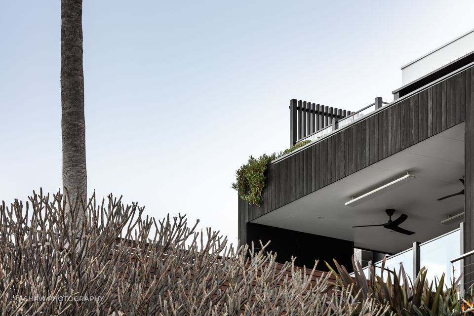 The linear form of The Coledale Ave House