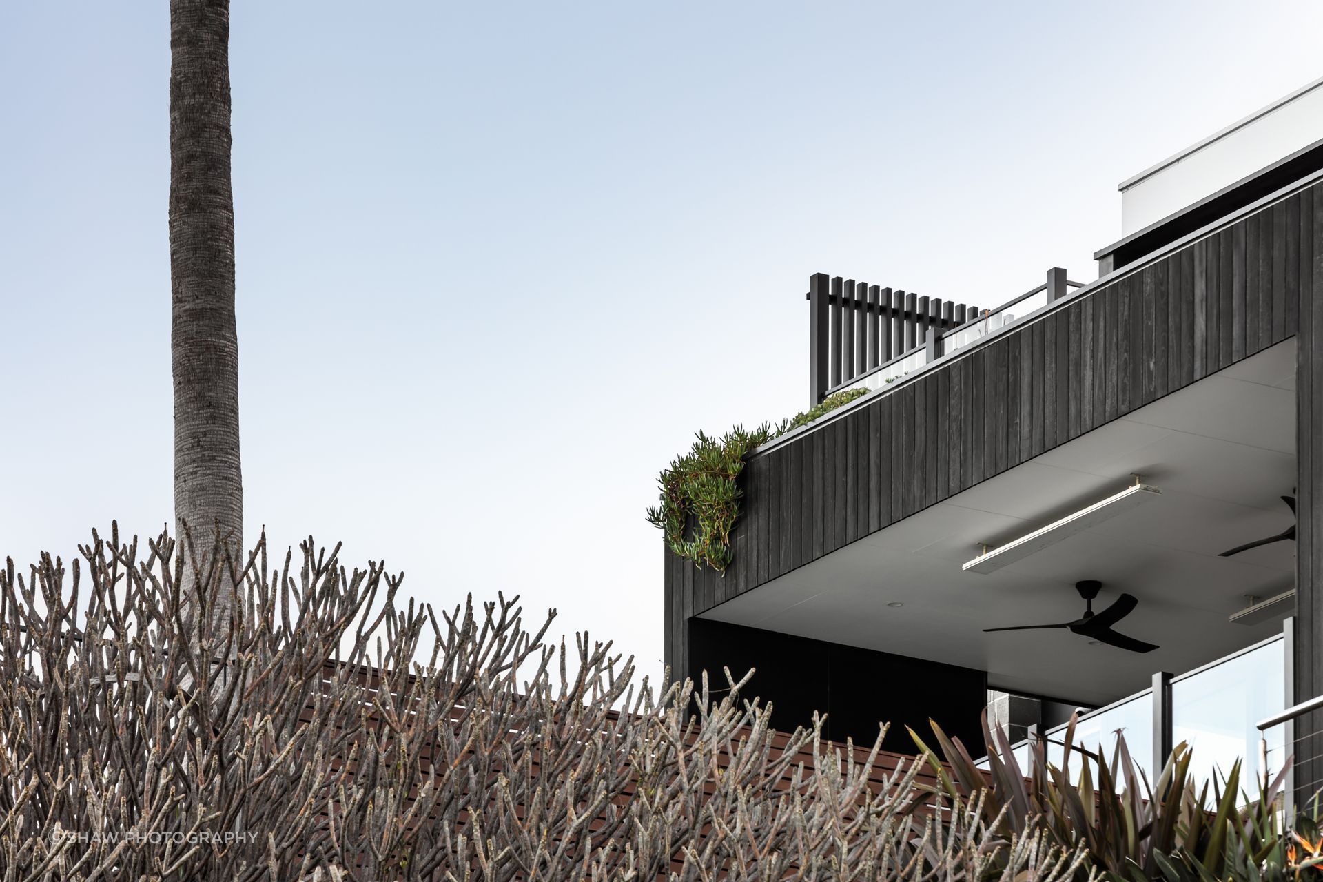The linear form of The Coledale Ave House