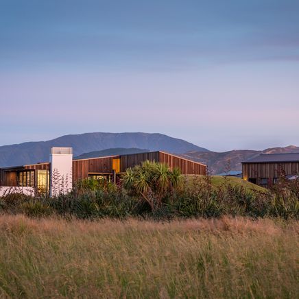 Takahē House: how a piece of driftwood inspired a seaside architectural marvel