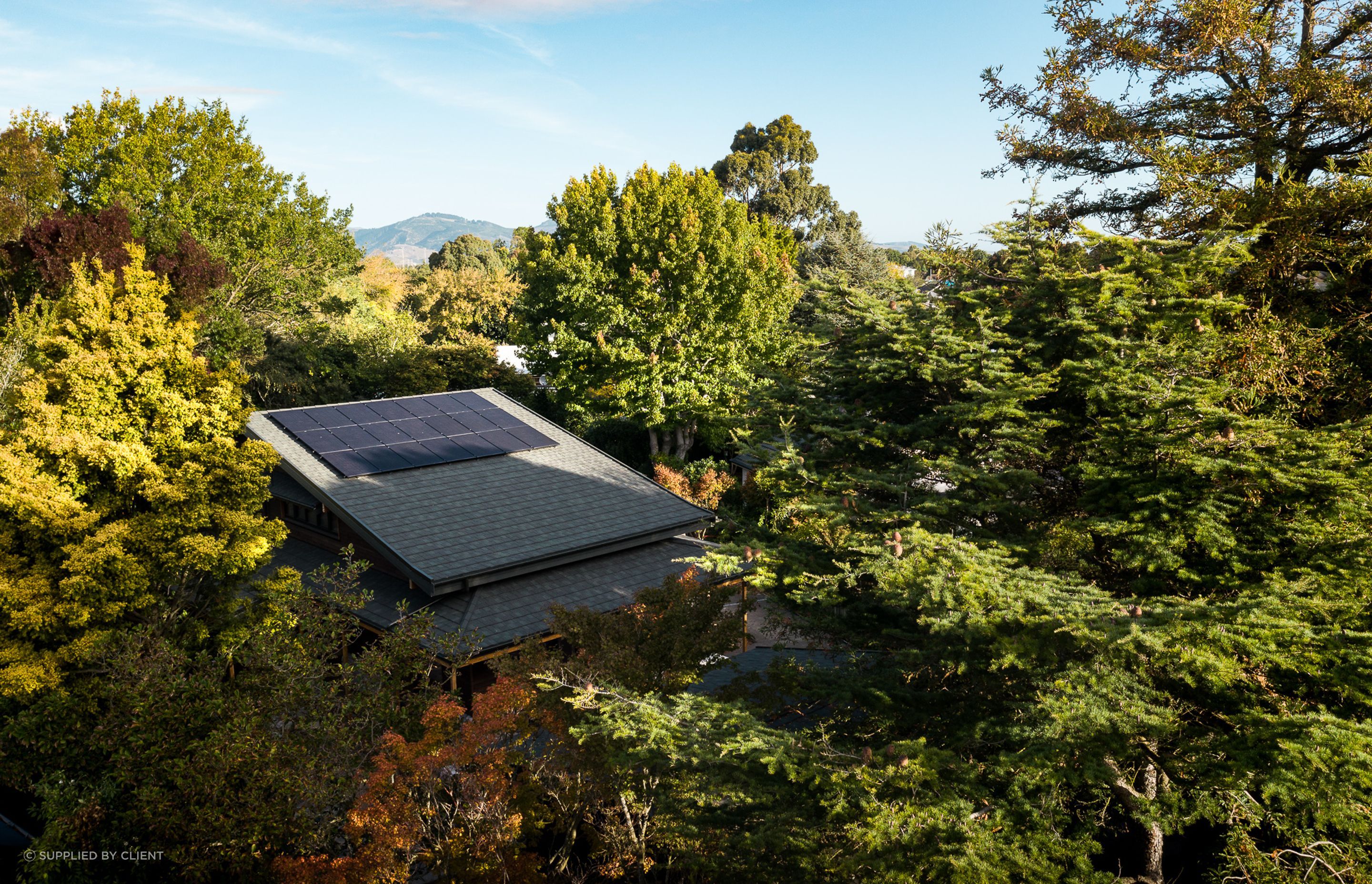 Though the site is positioned in the middle of a suburban area, an established garden creates a tangible sense of peace.