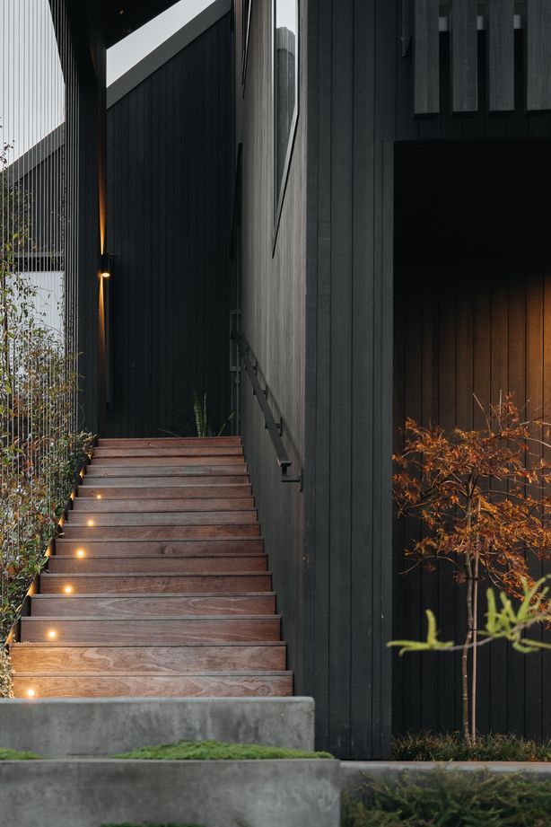 A green wall has been created using tensioned steel wires, leading to the front door.
