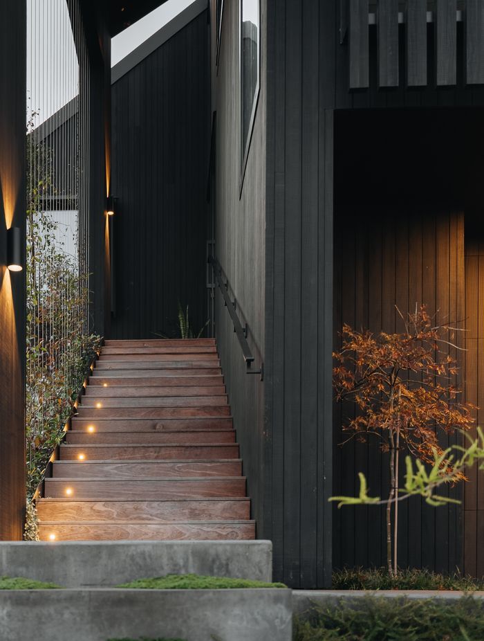 A green wall has been created using tensioned steel wires, leading to the front door.