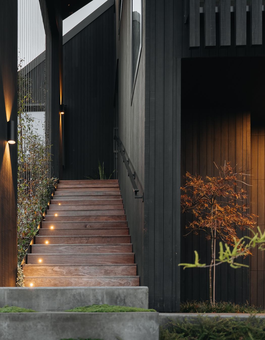 A green wall has been created using tensioned steel wires, leading to the front door.