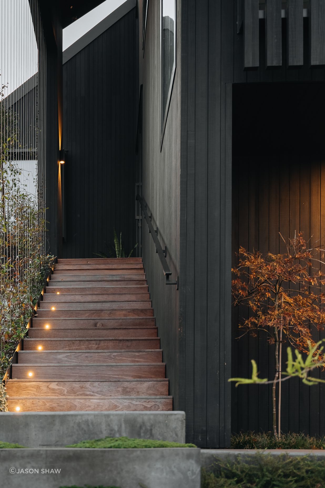 A green wall has been created using tensioned steel wires, leading to the front door.