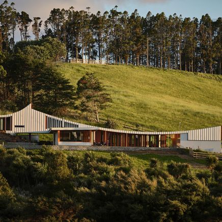 Curves, kauri and colour: inside the beautifully offbeat Muriwai home that celebrates rural living
