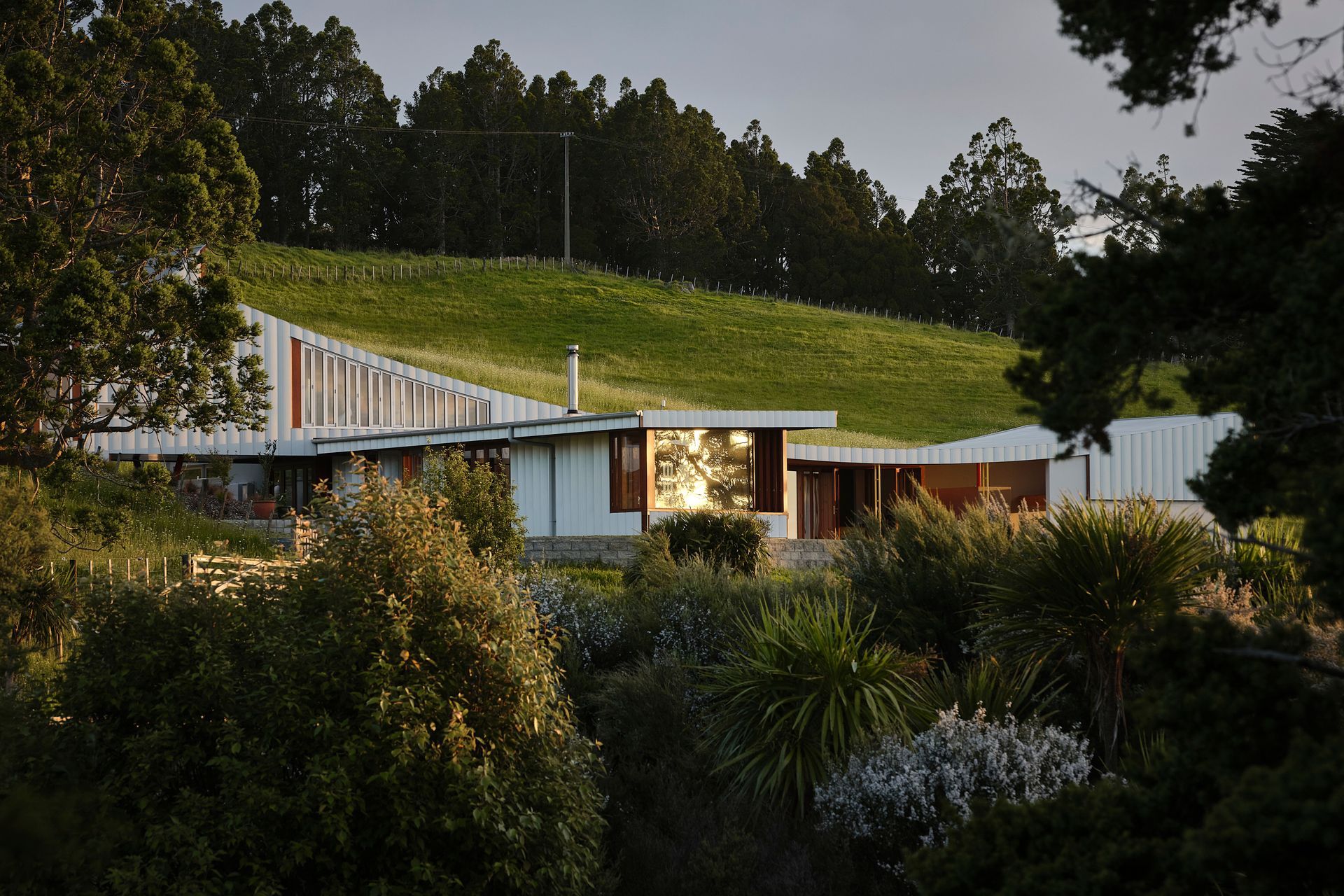 The undulation of the surrounding hills was a primary inspiration for the striking curvature of the home's silhouette.