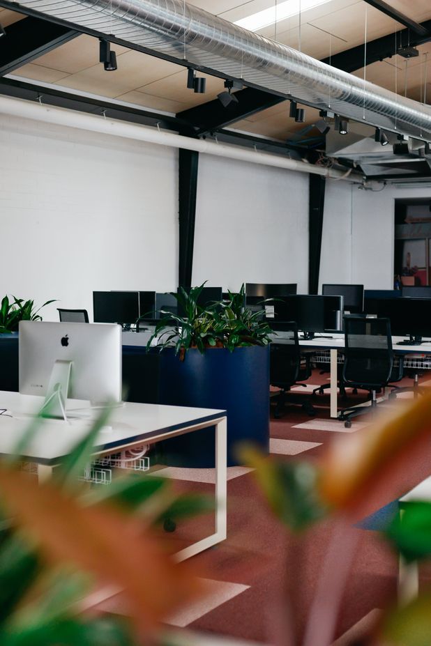 Frank Body and Willow &amp; Blake by Made For | Photography by Bobby Clarke