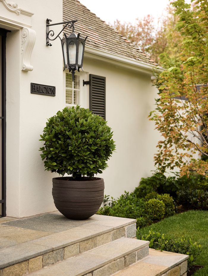 The pot plants are from Cosh Living's Atelier Vierkant.