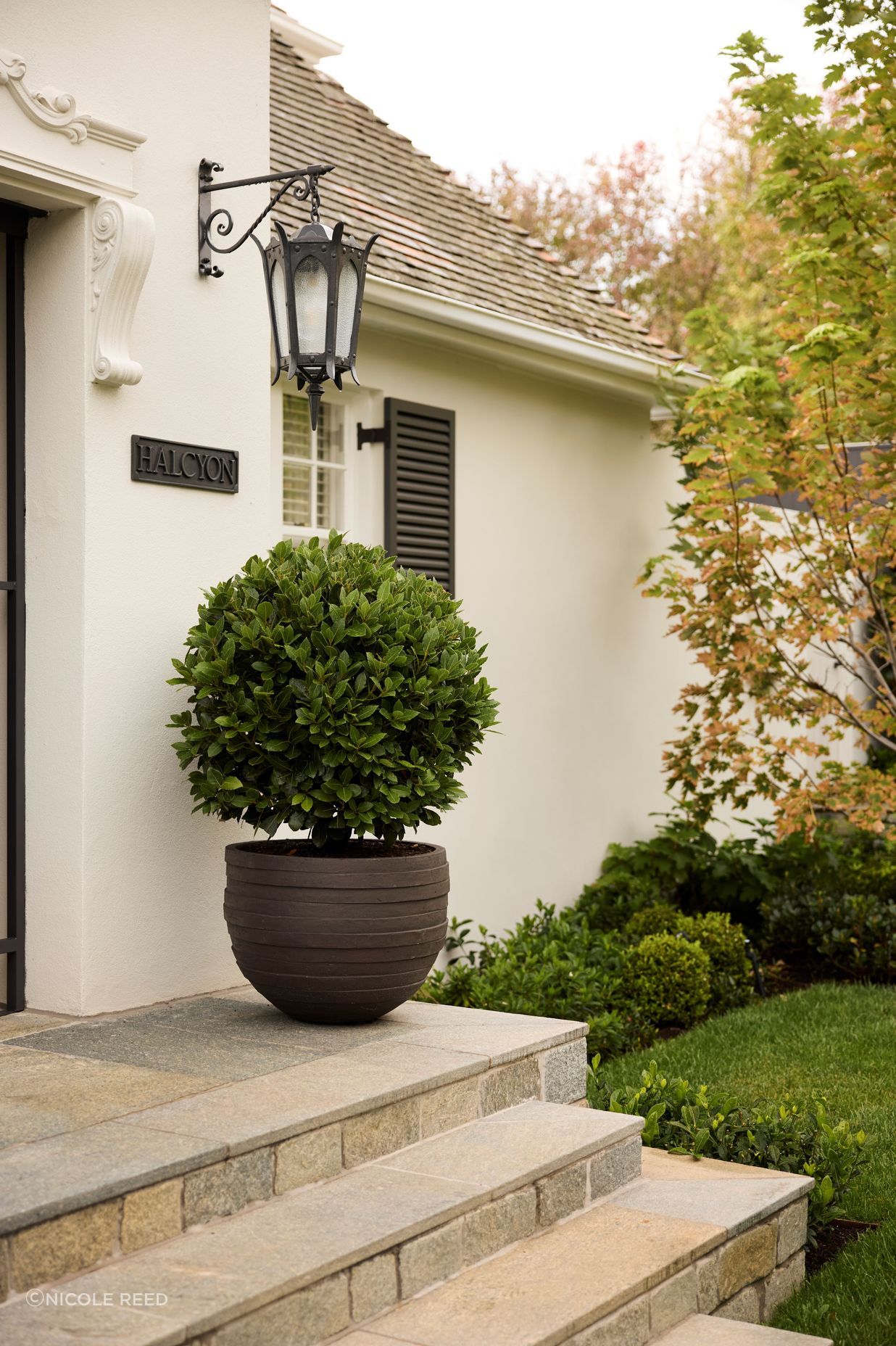 The pot plants are from Cosh Living's Atelier Vierkant.