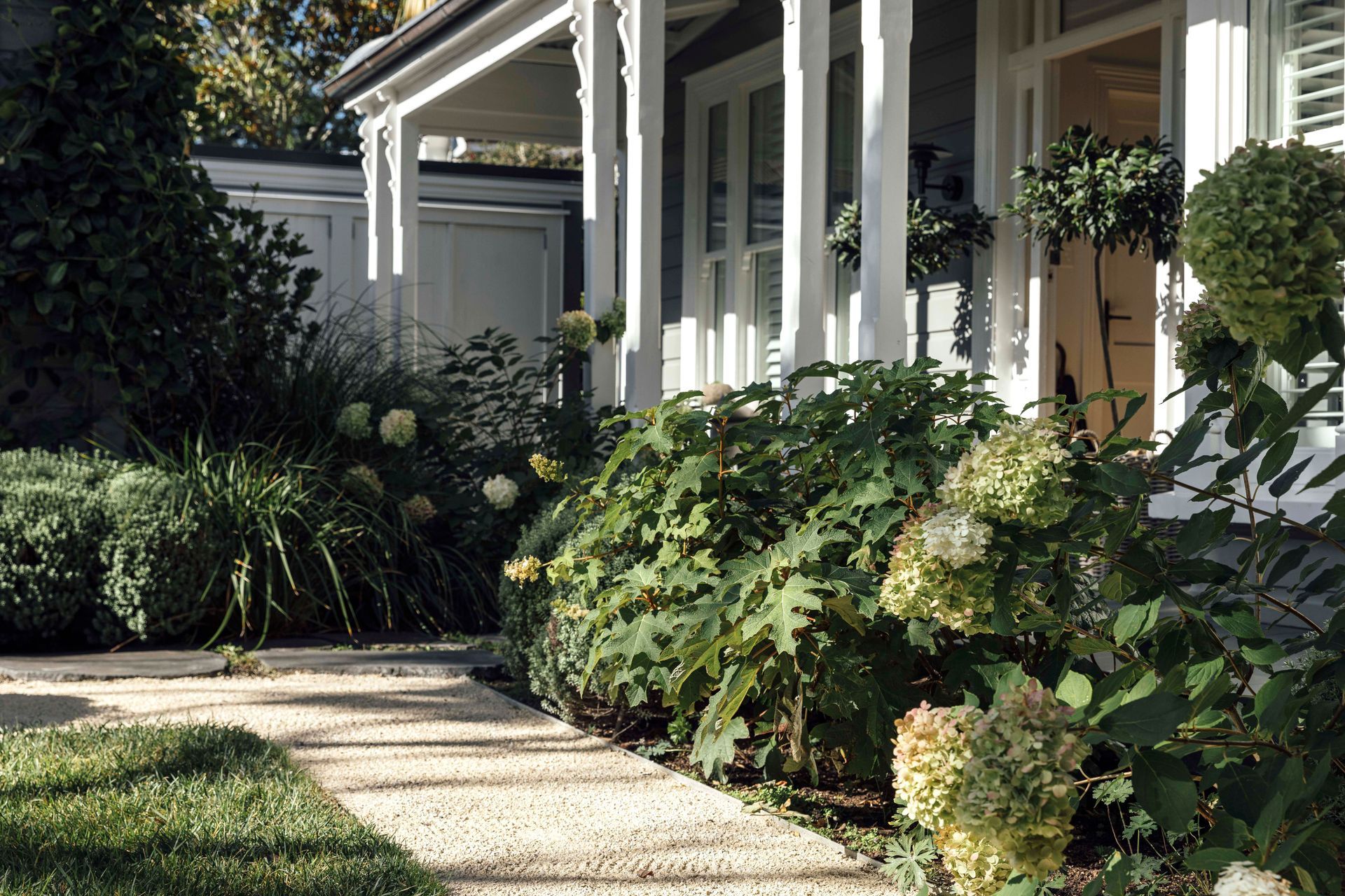 Front garden of a traditional Herne Bay villa planted out with woodland shrubs and ground covers. Designer: Andy Hamilton.