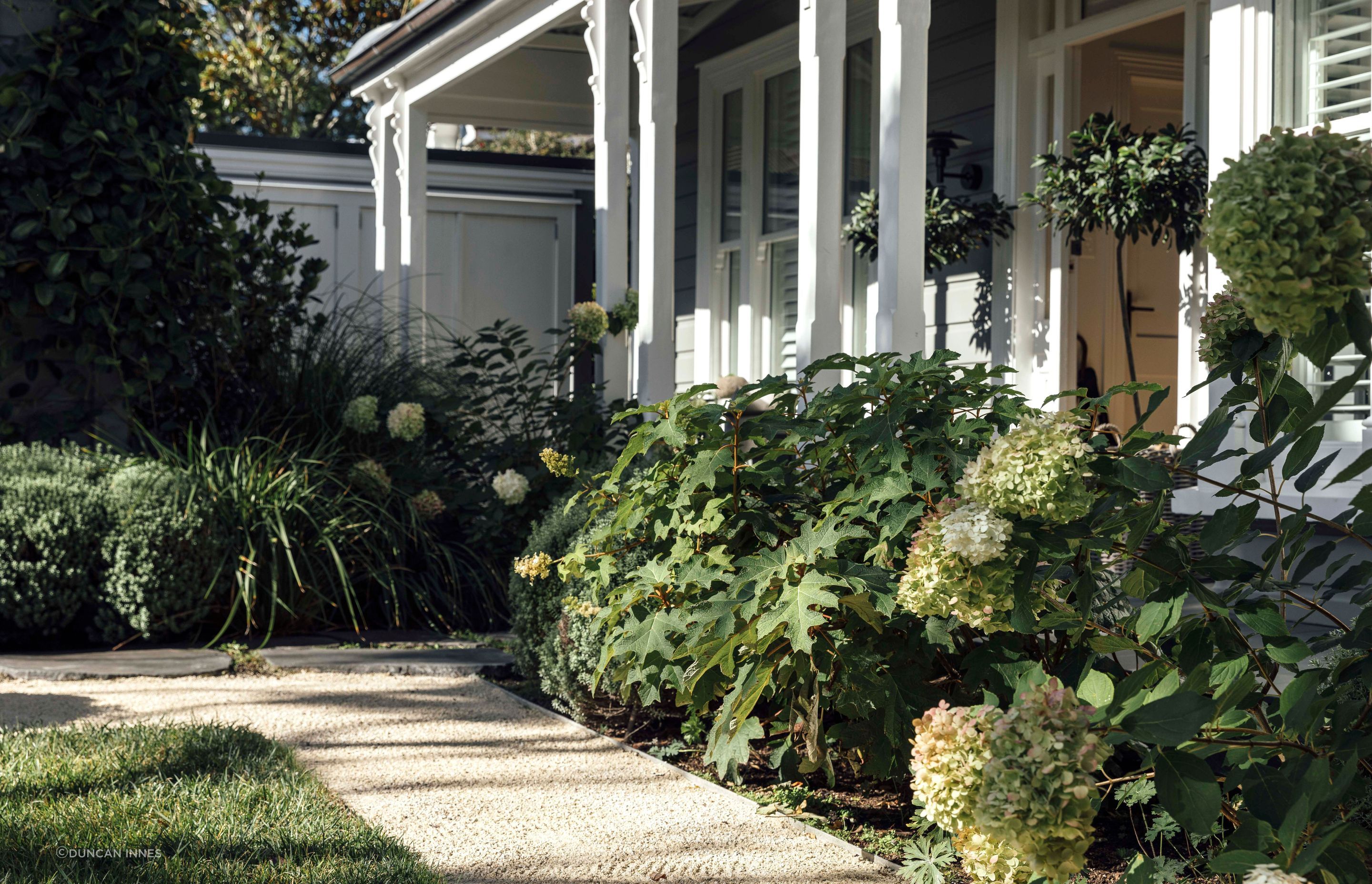 Front garden of a traditional Herne Bay villa planted out with woodland shrubs and ground covers. Designer: Andy Hamilton.