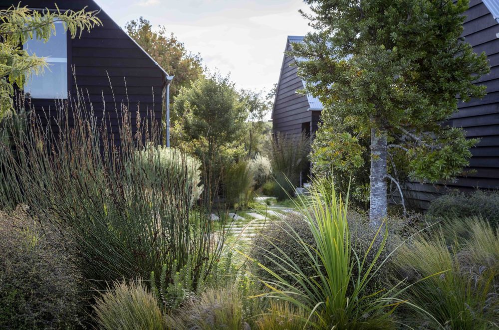 Texture rich native planting on the Point Wells estuary. Designer: Andy Hamilton.