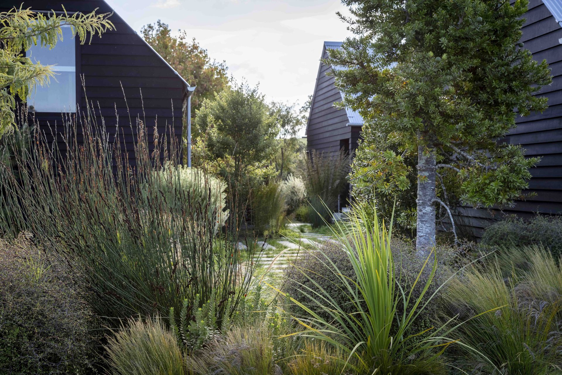 Texture rich native planting on the Point Wells estuary. Designer: Andy Hamilton.