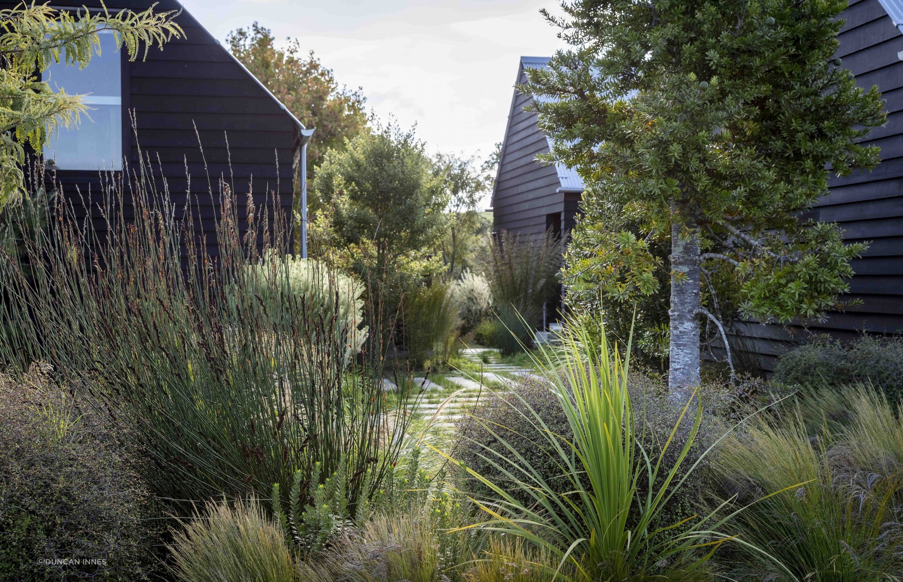 Texture rich native planting on the Point Wells estuary. Designer: Andy Hamilton.