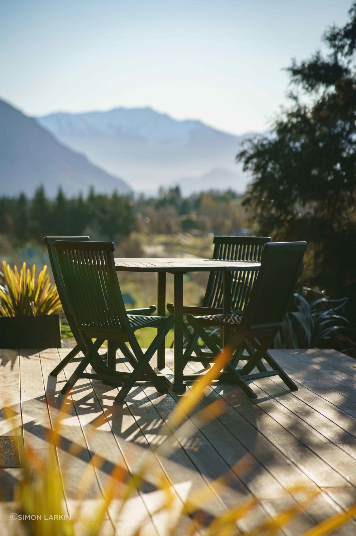 The spatial experience has been designed to foster a connection with nature.