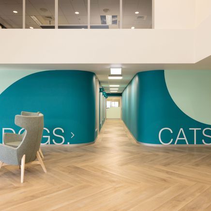 Transforming traditional commercial spaces through paint