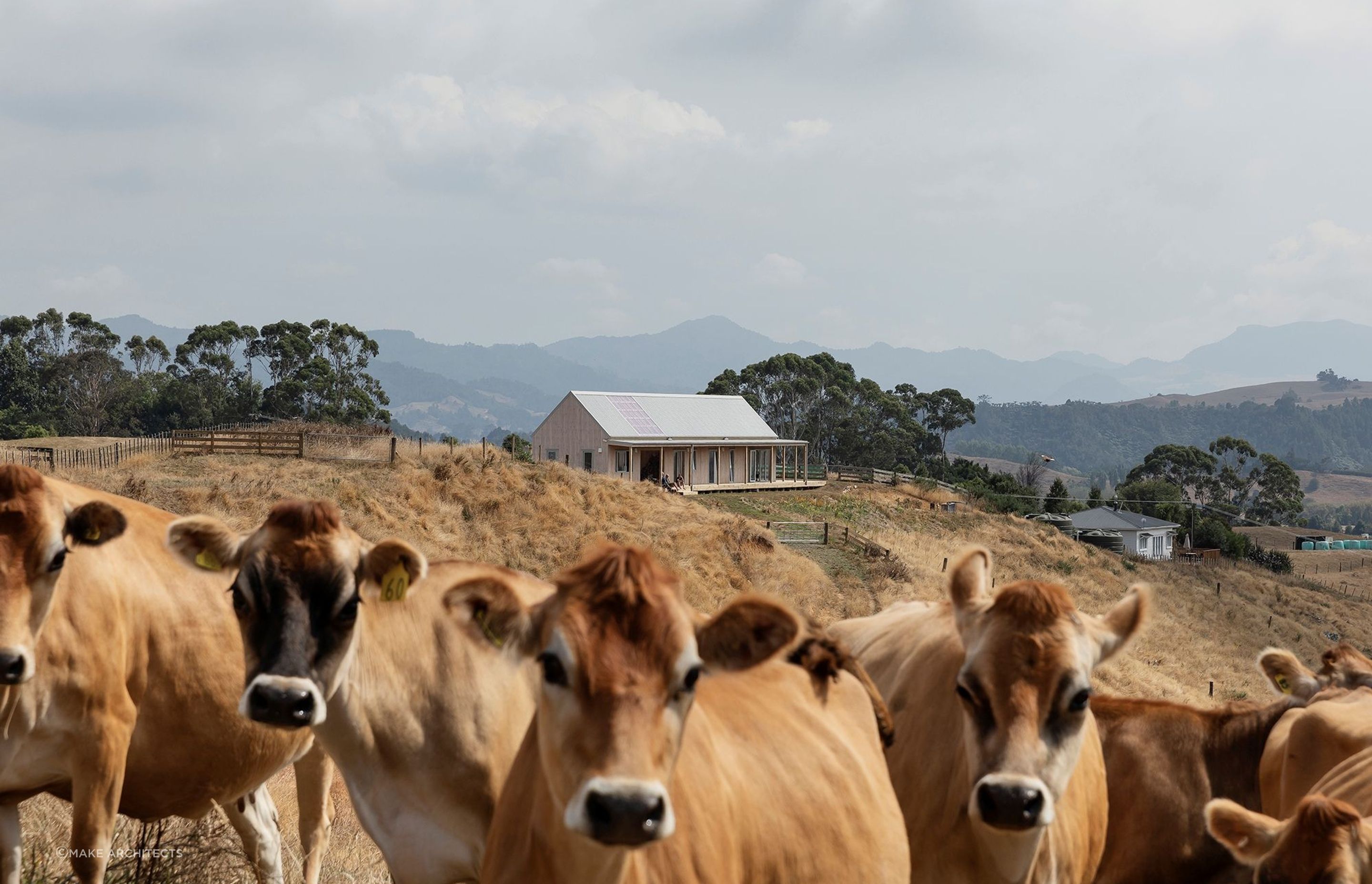Karangahake House — at one with all its surroundings. — Photography: David Straight.