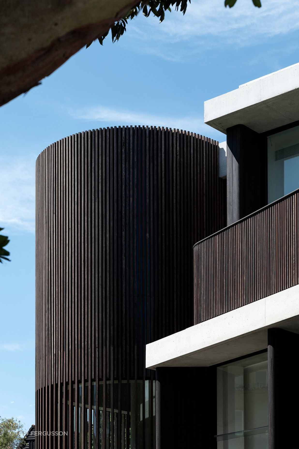 Dalley Avenue, Vaucluse.